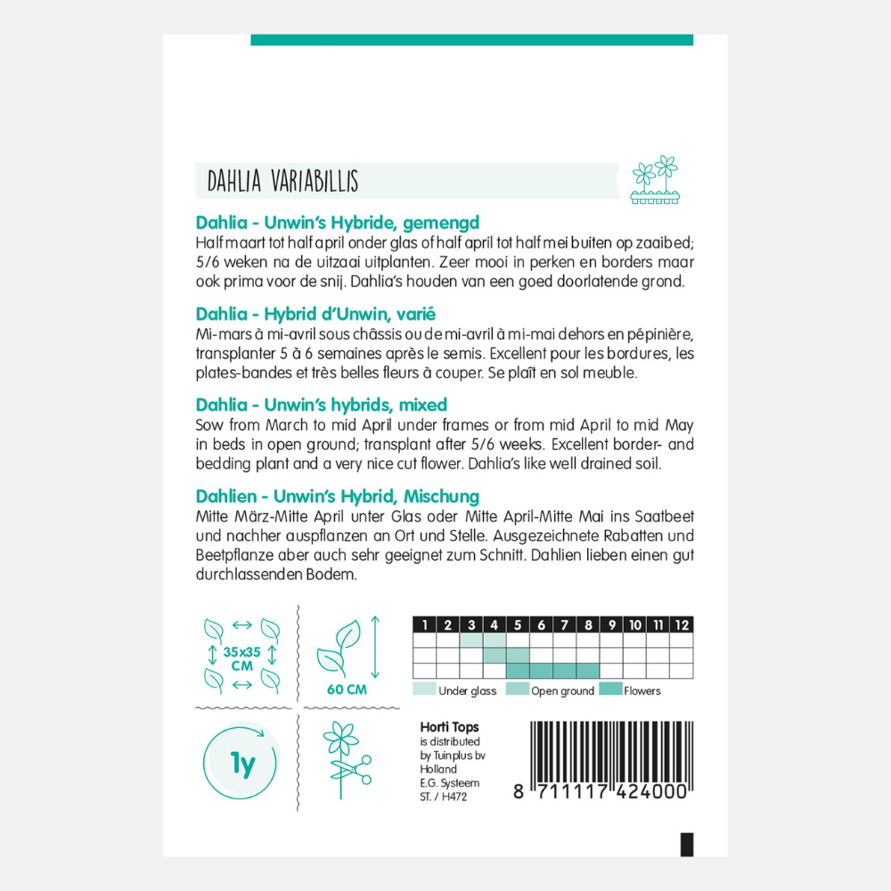 Dahlia 'Unwin's Hybrid' - mixed