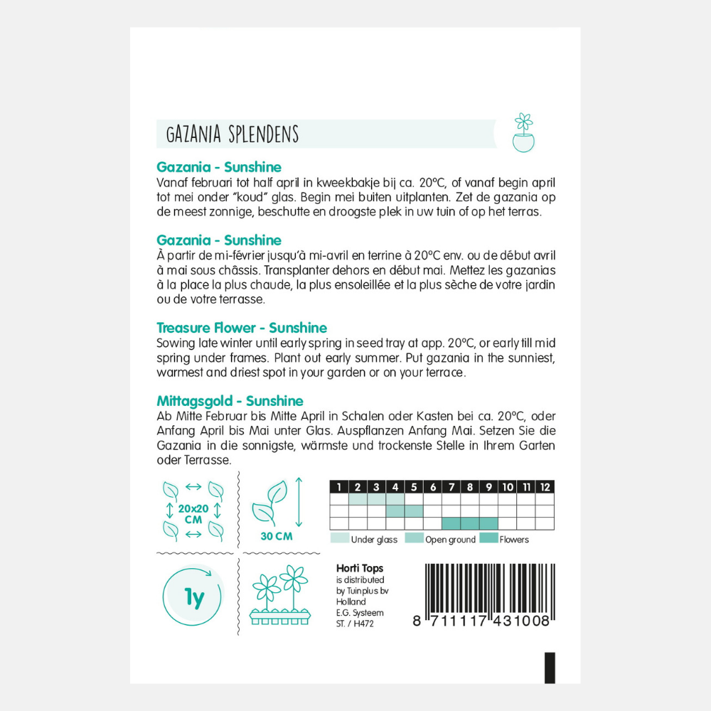 Gazania 'Middaggoud Sunshine' - Mixed
