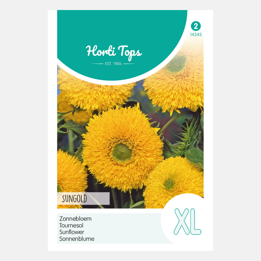 Tournesol 'Sungold' - fleur double, grande