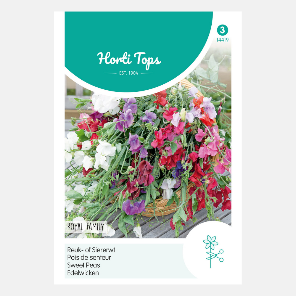 Lathyrus/Sweet Pea 'Royal Family' - mixed