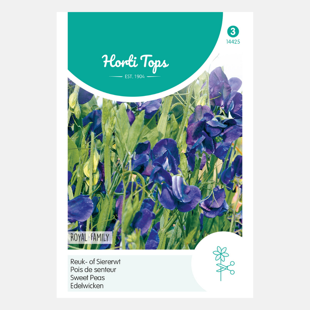 Lathyrus/Sweet Pea 'Royal Family' - blue