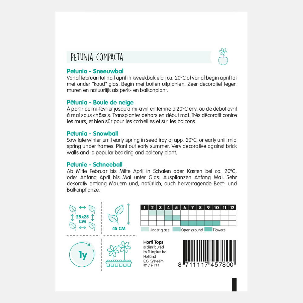 Petunia Nana Compacta 'Snowball'