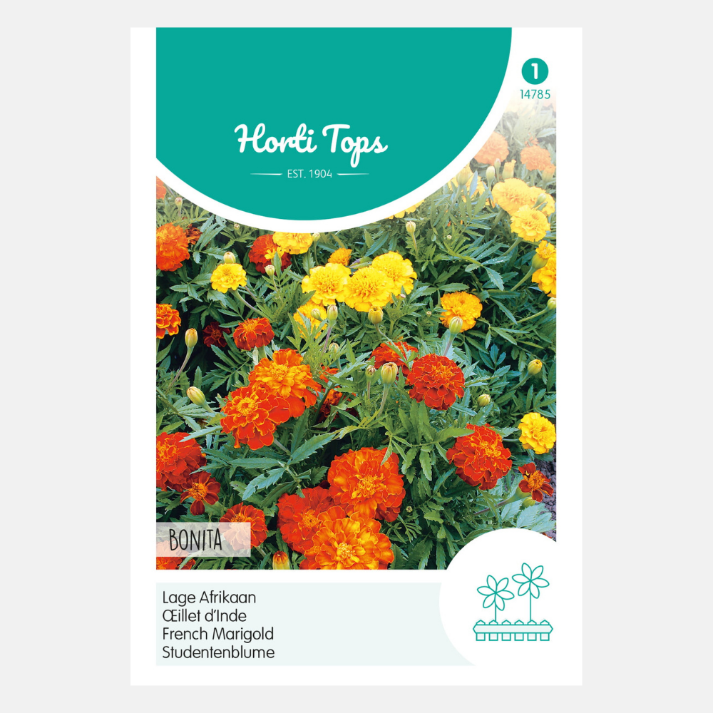 Marigolds 'Bonita' - double flowered mixed