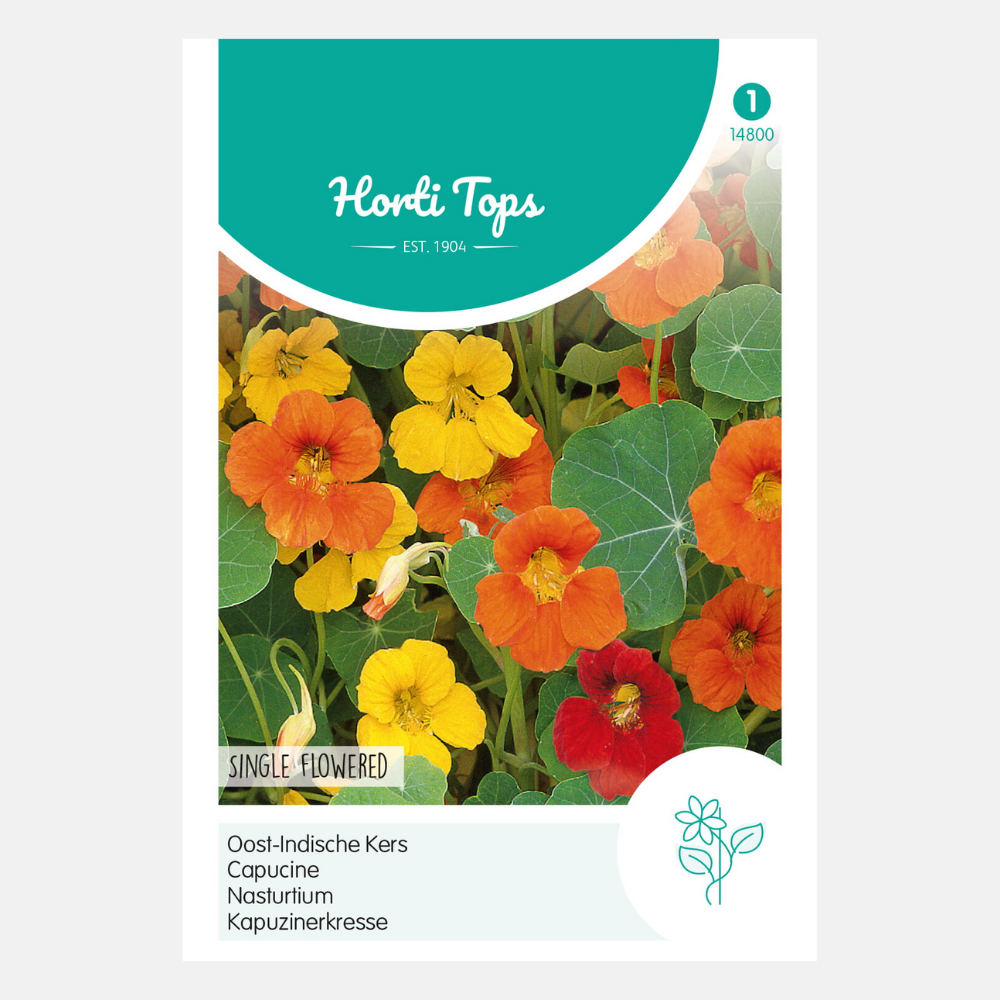 Nasturtium - single flowered, mixture