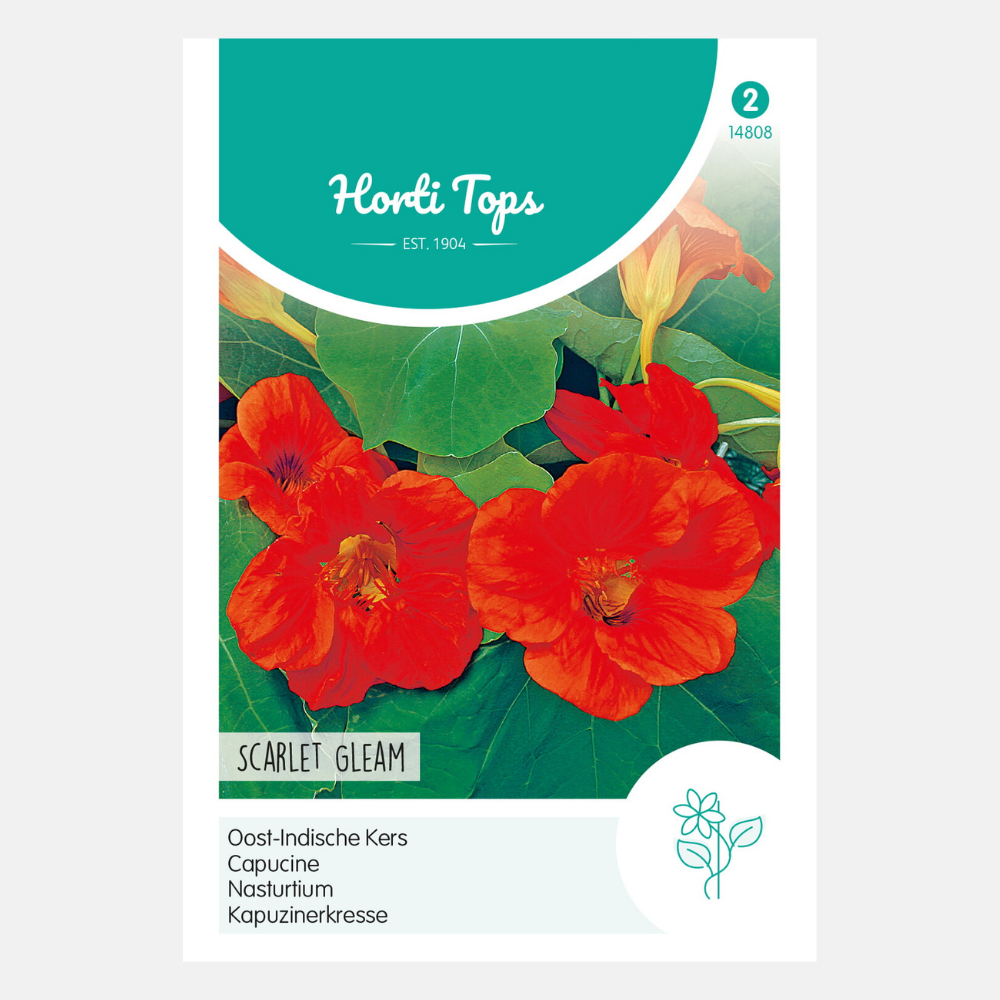 Nasturtium 'Scarlet Gleam' - red