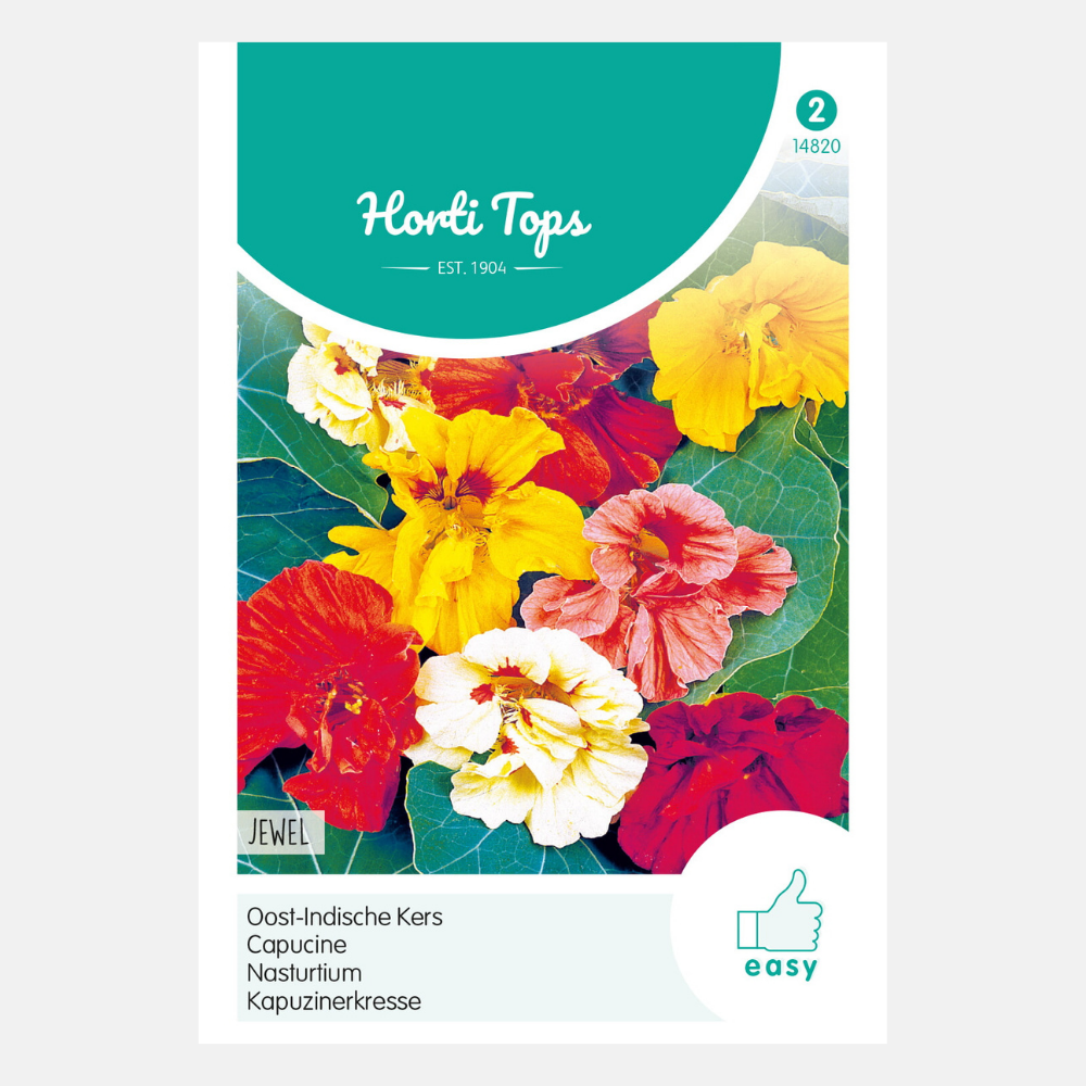 Nasturtium 'Jewel' - double flowered, mixed, low