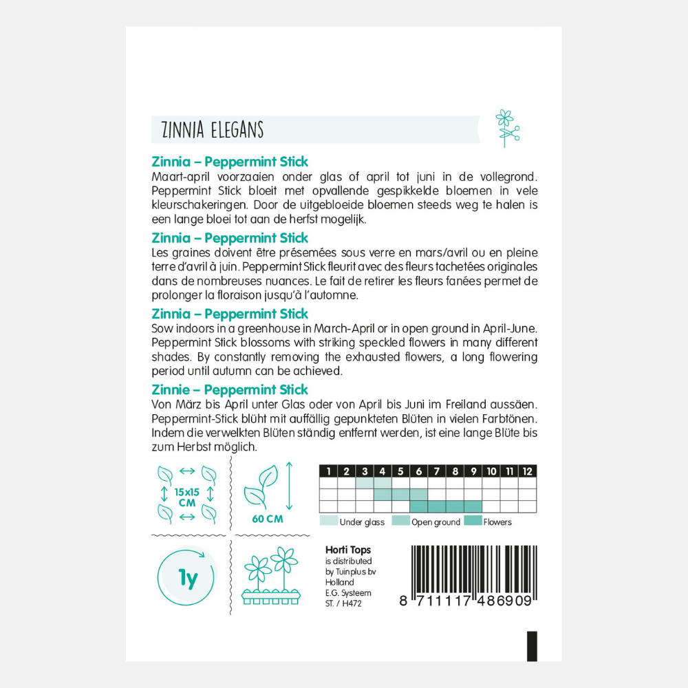 Zinnia 'Peppermint Stick' - gemengd