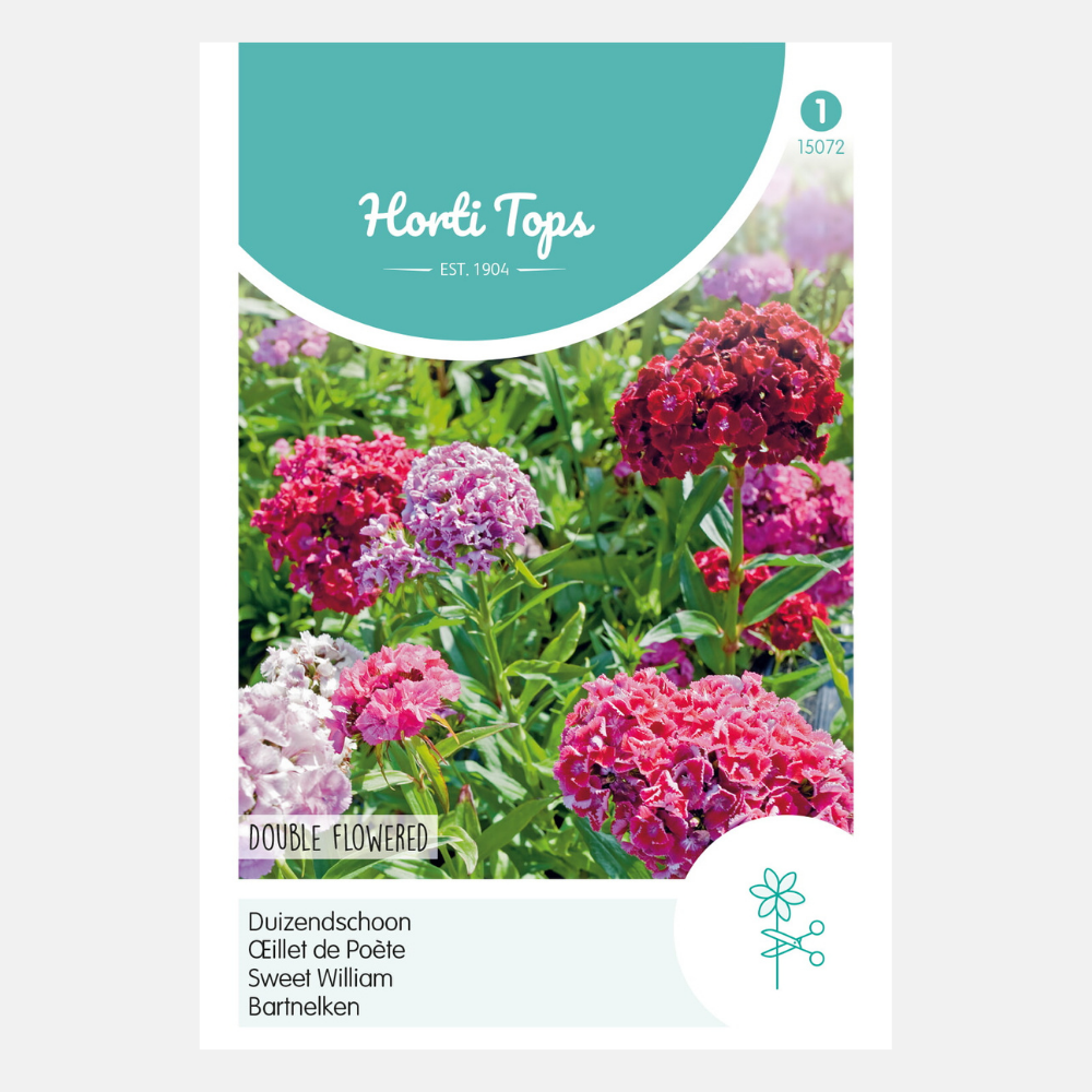 Duizendschoon - dubbelbloemig gemengd