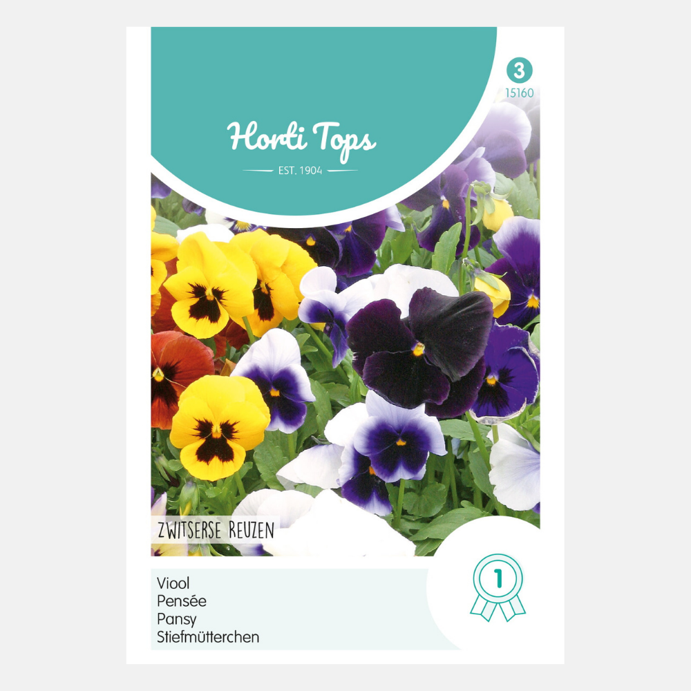 Violet 'Swiss Giants' - mixture