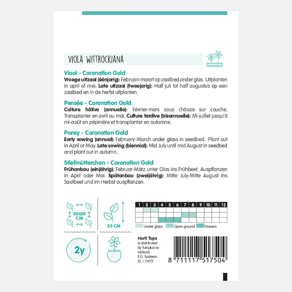 Viooltje 'Coronation Gold'