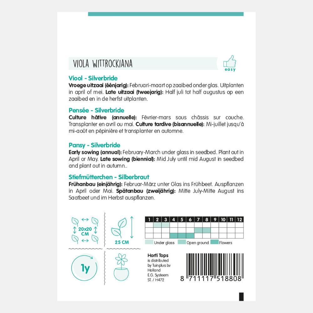 Violet 'Silverbride'