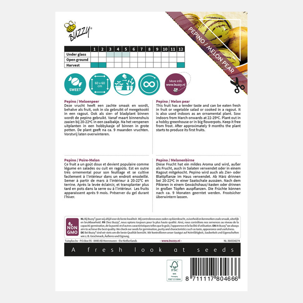 Melon pear 'Pepino'
