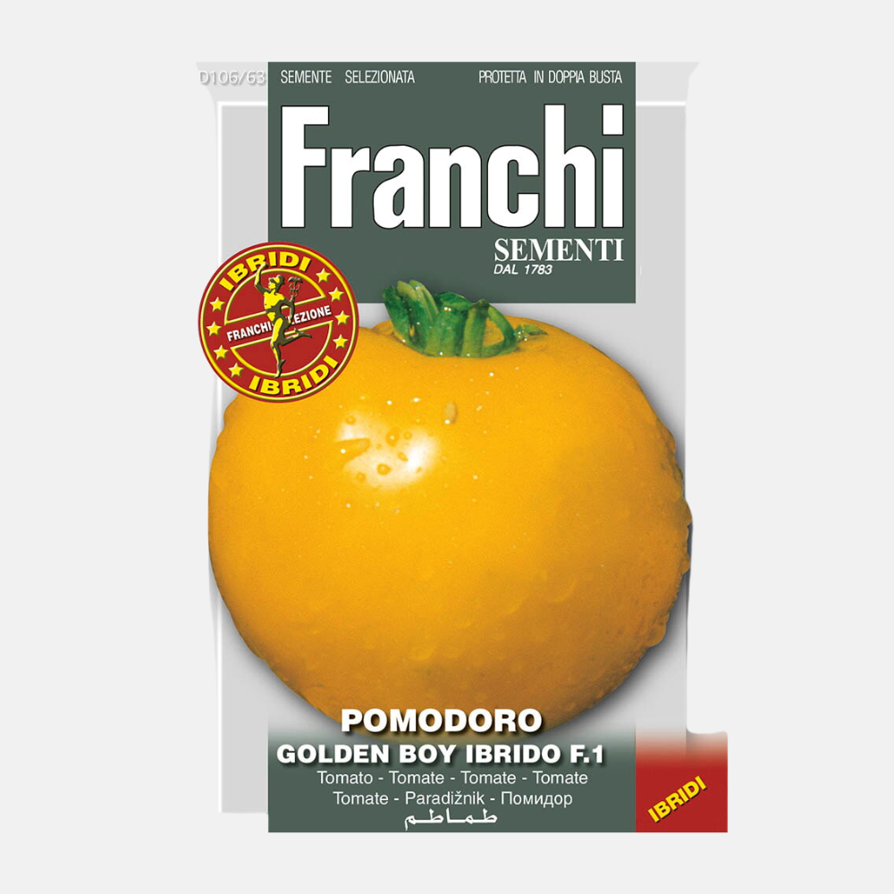Tomate 'Golden Boy F1'