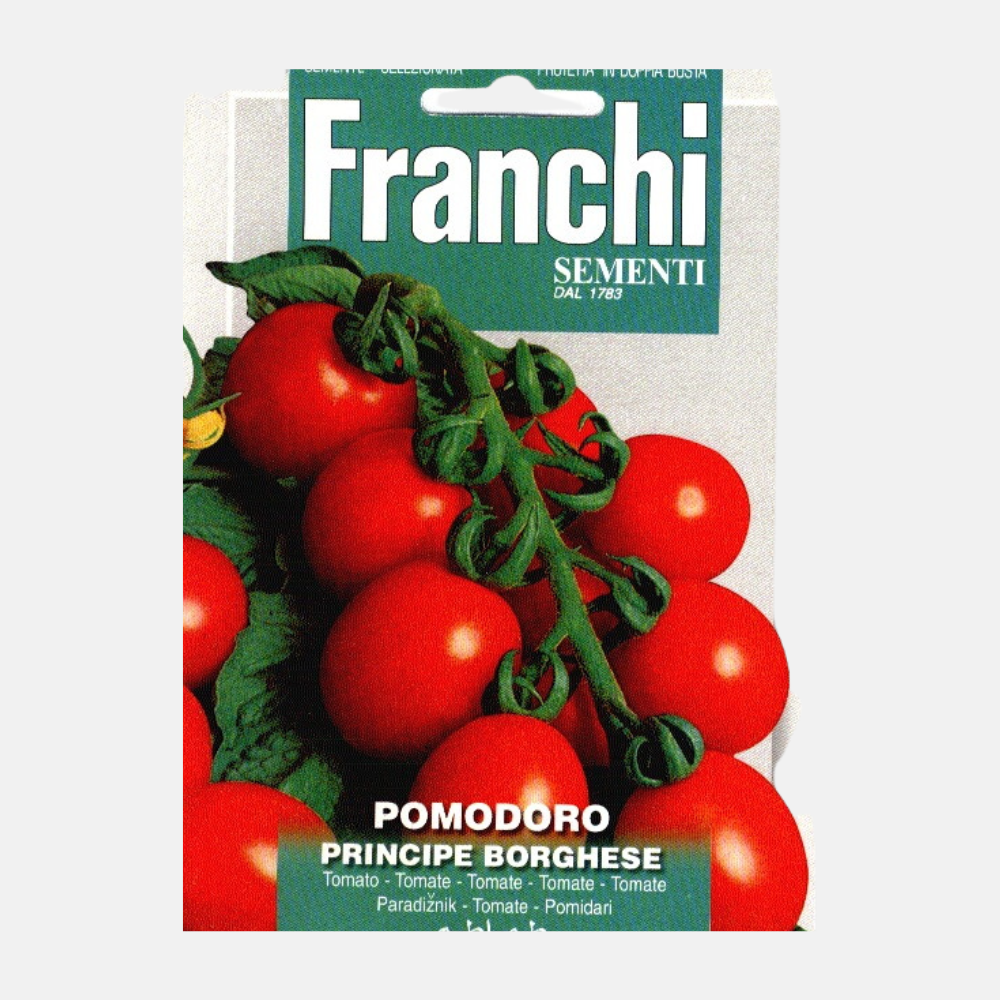 Vine tomato 'Principe Borghese'