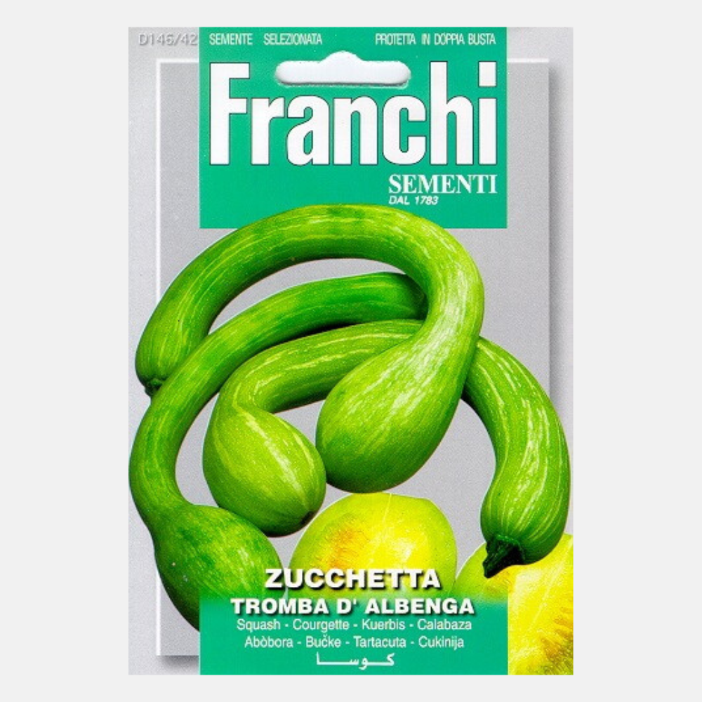 Gourd 'Tromba D'Albenga'