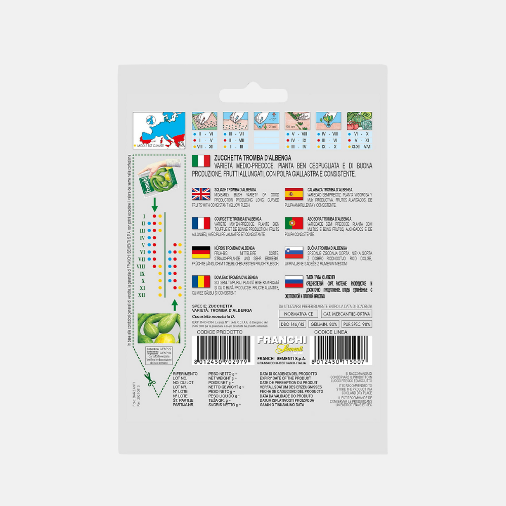 Gourd 'Tromba D'Albenga'