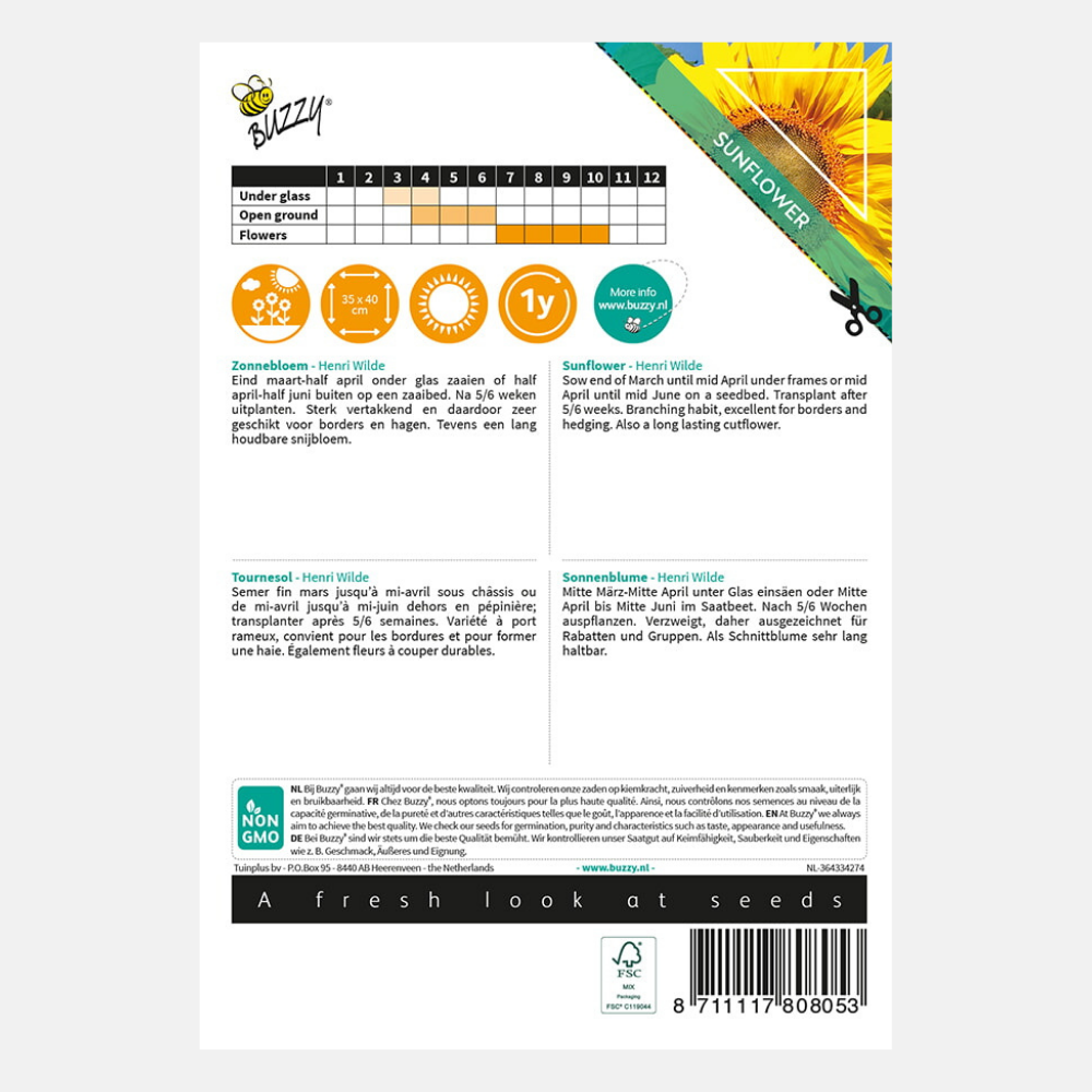 Tournesol 'King Kong'