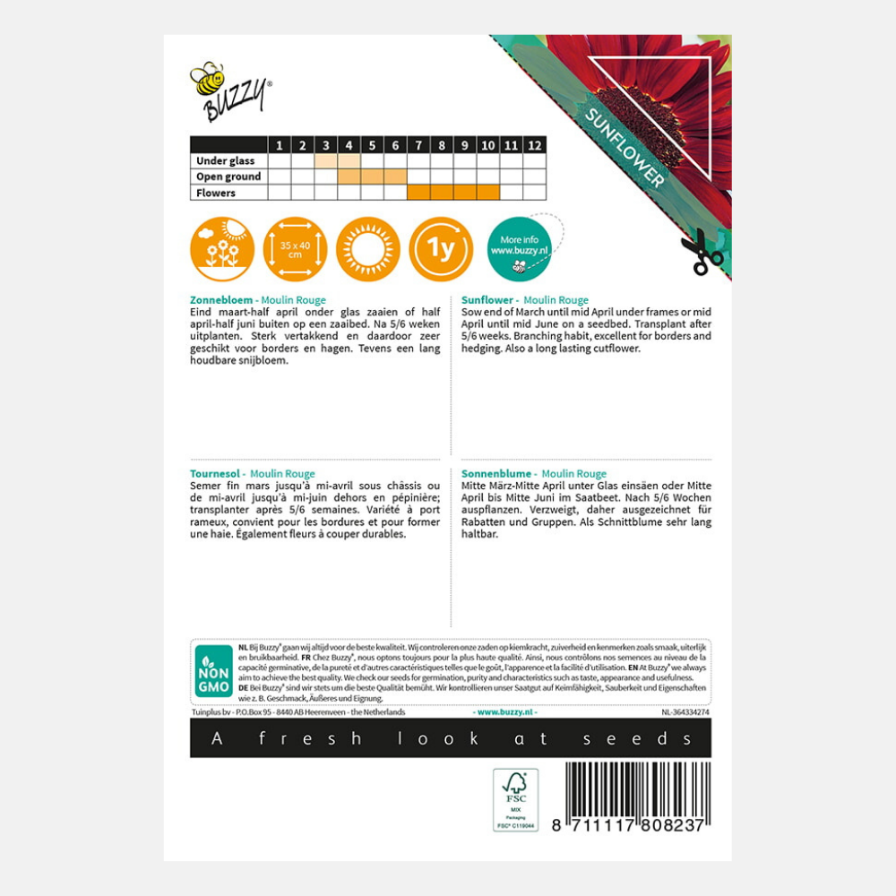 Tournesol 'Moulin Rouge'