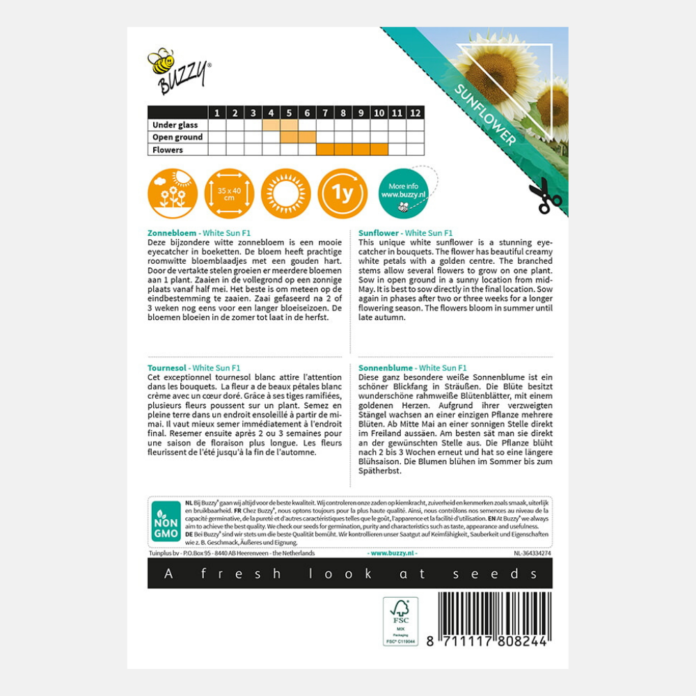 Tournesol 'Soleil Blanc' F1