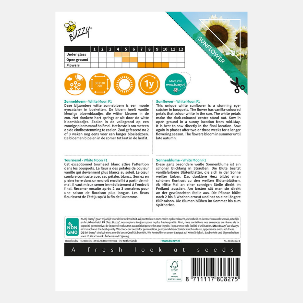 Tournesol 'Lune Blanche' F1