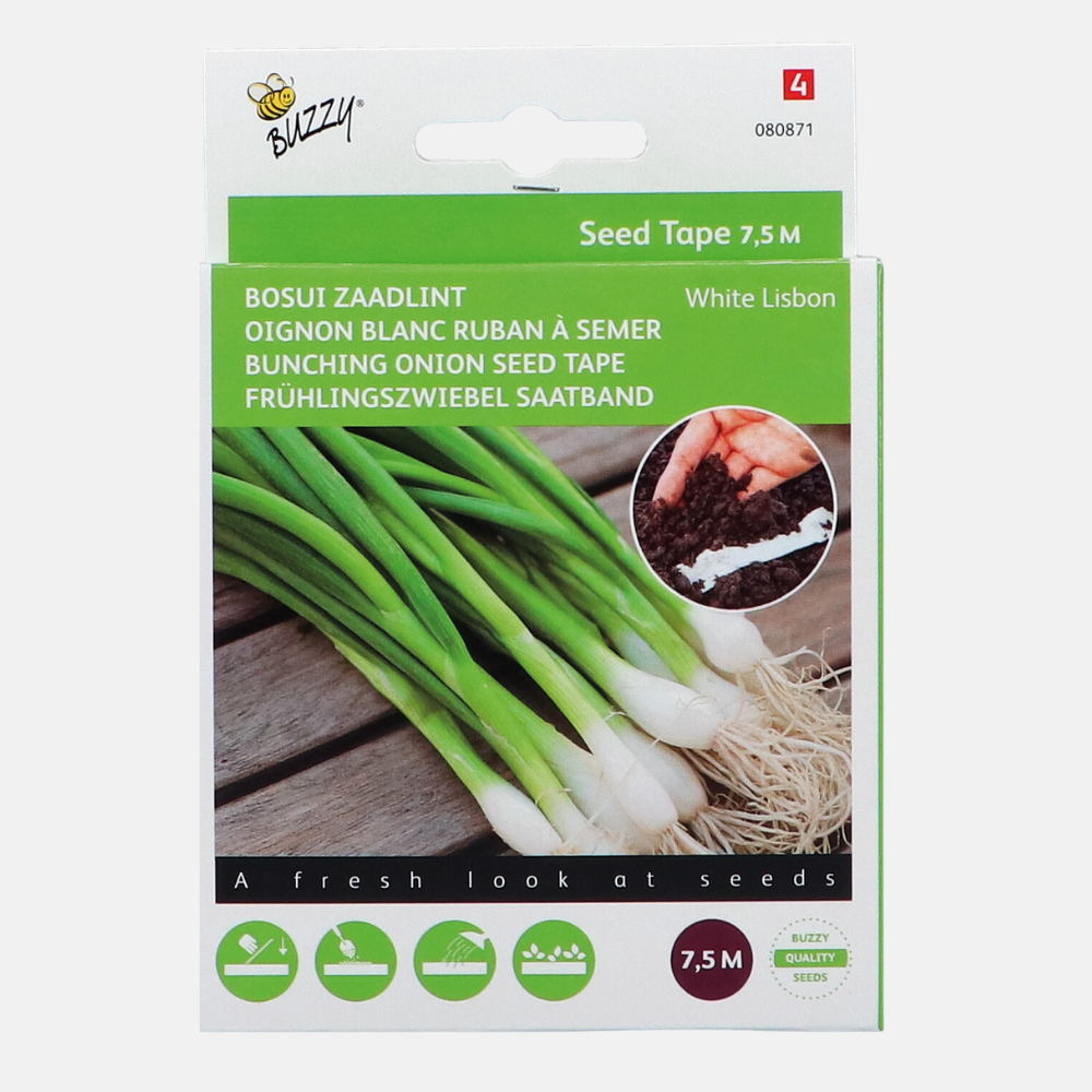 Seed tape Chives 'White Lisbon'