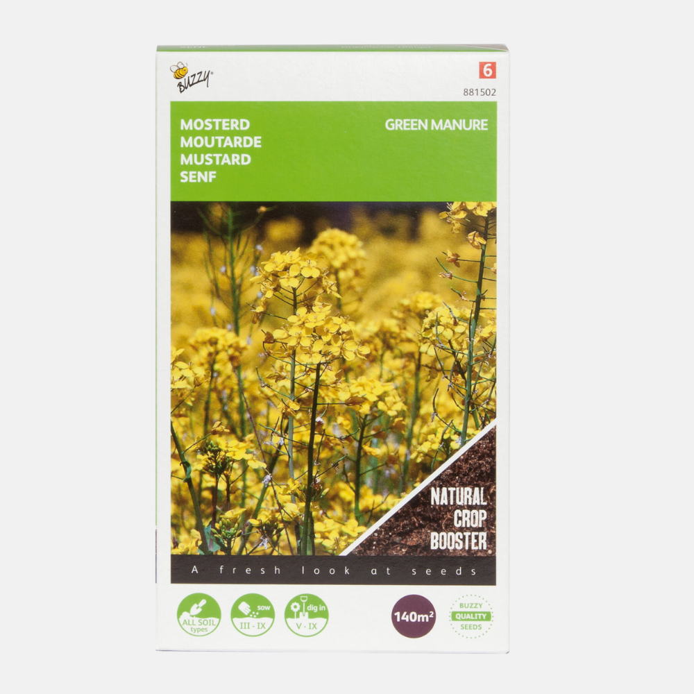 Yellow Mustard - green manure