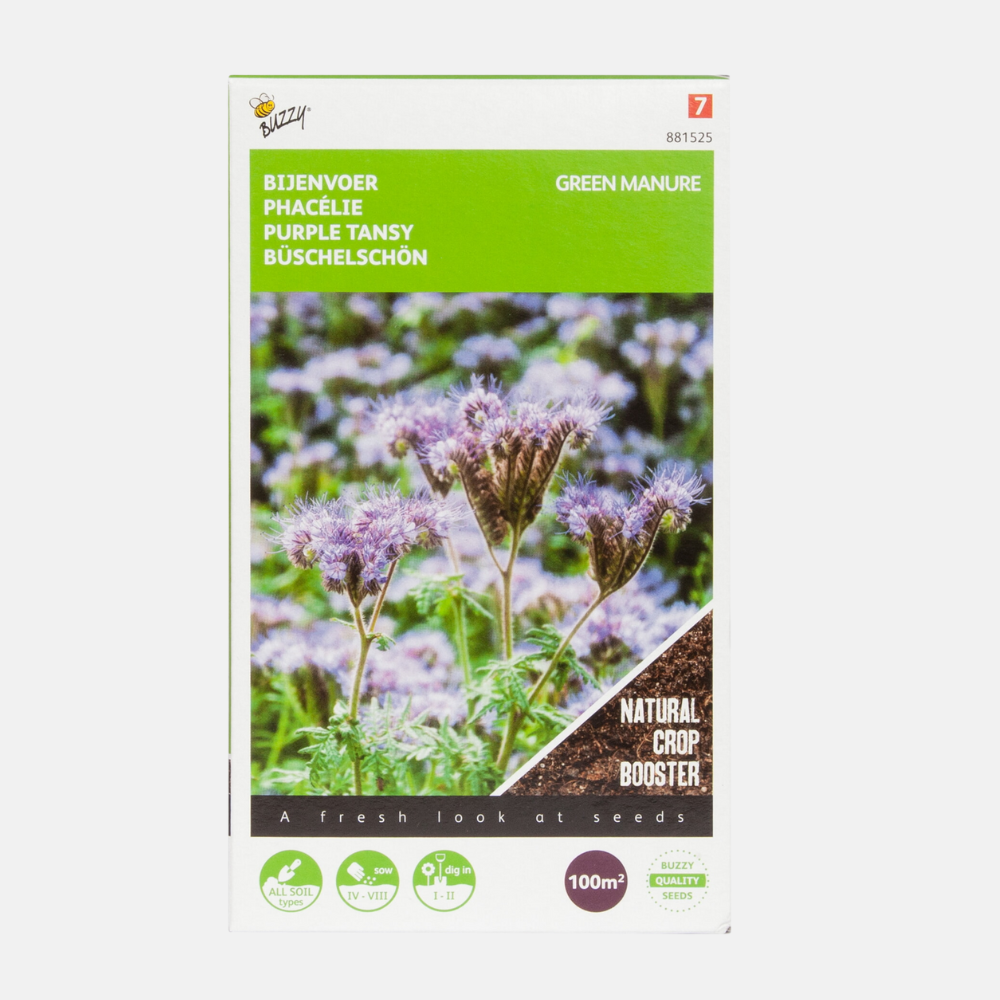 Phacelia - Green manure