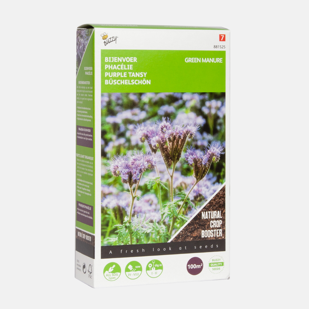 Phacelia - Green manure