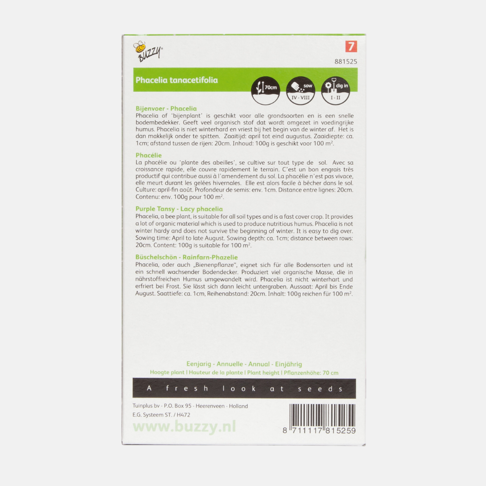 Phacelia - Green manure