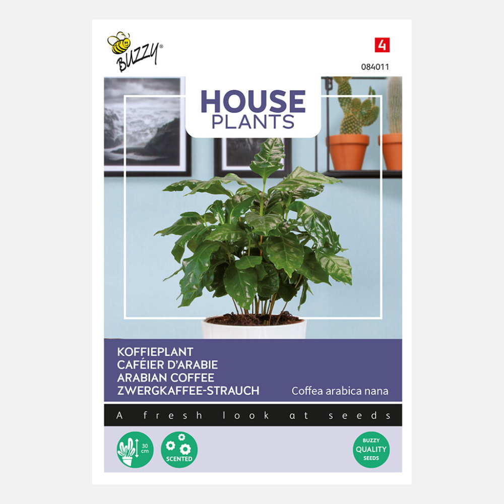 Caféier Arabica/Caféier