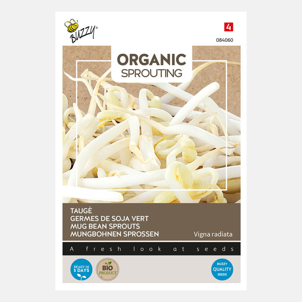 Sprouts Soybean Sprouts or Bean Sprouts BIO