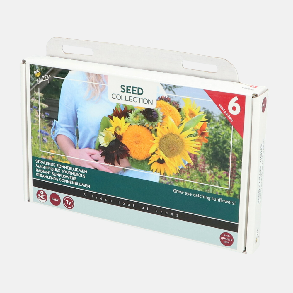 6 Zonnebloemen Collection