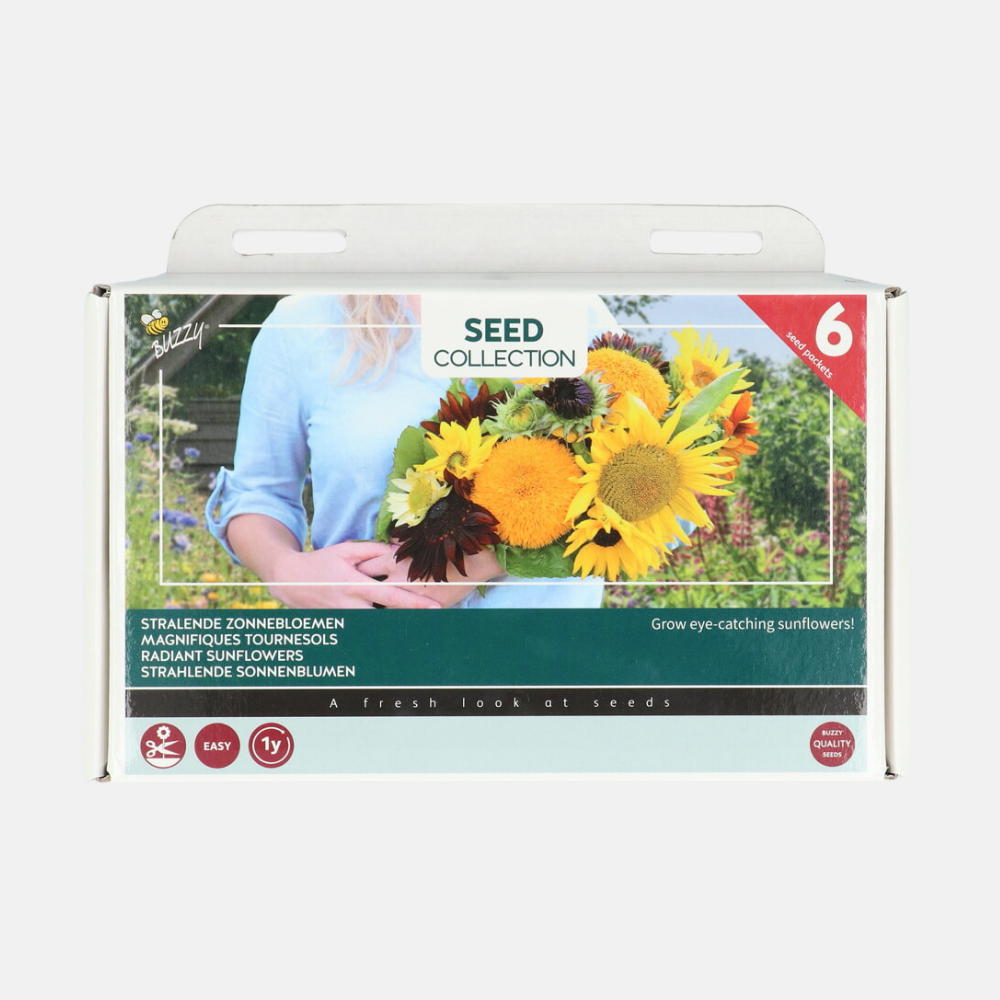 6 Zonnebloemen Collection