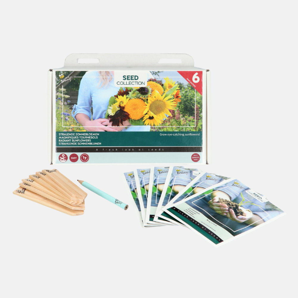 6 Zonnebloemen Collection