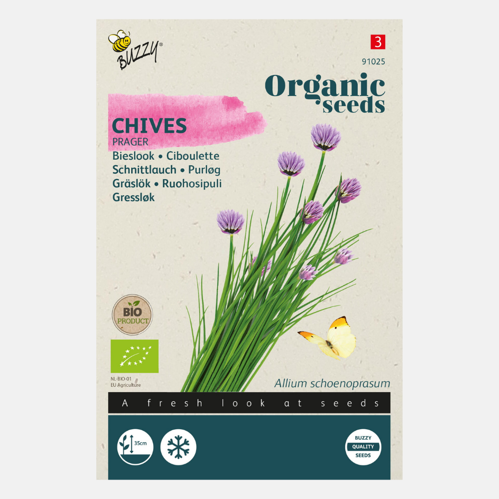 Chives 'Prager' BIO