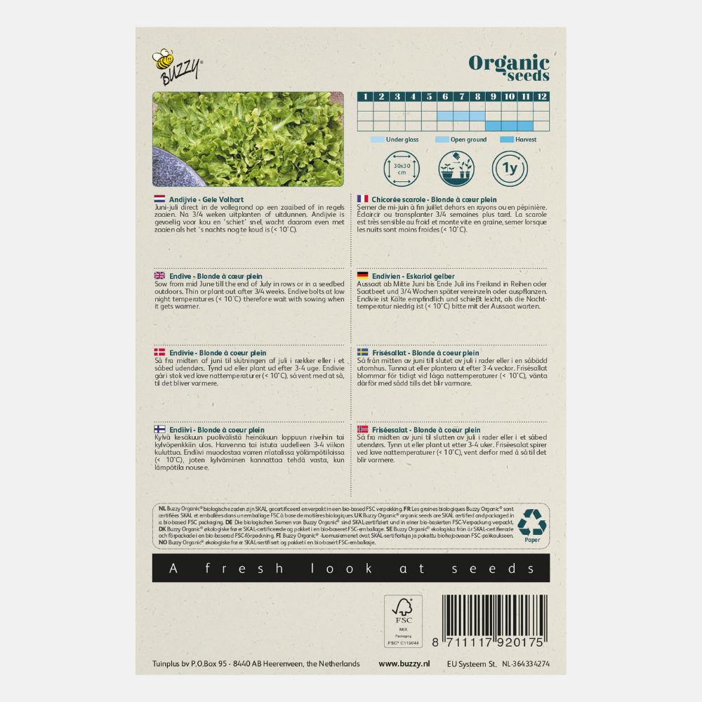Endive 'Yellow Volhart' BIO