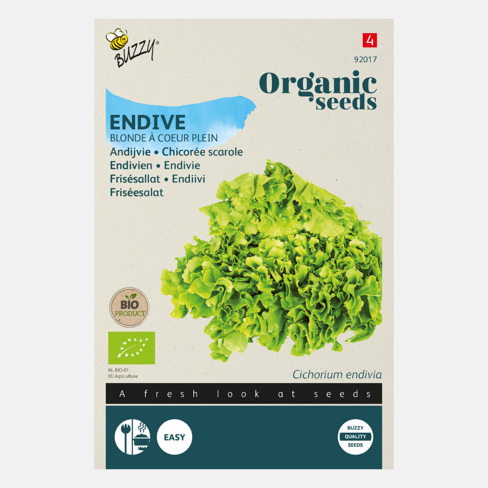 Endive 'Yellow Volhart' BIO