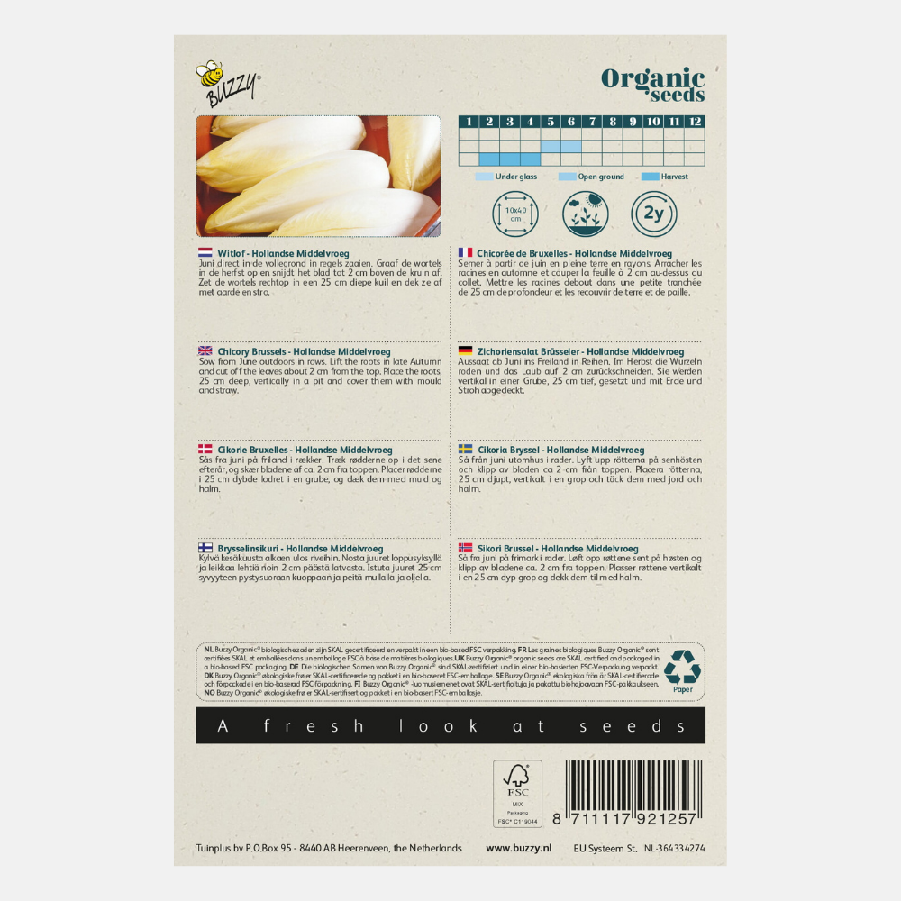 Chicory 'Middelvroeg' BIO