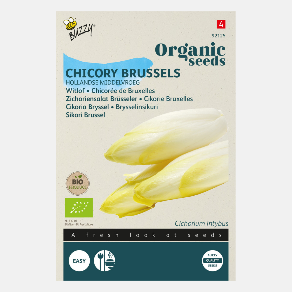 Chicory 'Middelvroeg' BIO