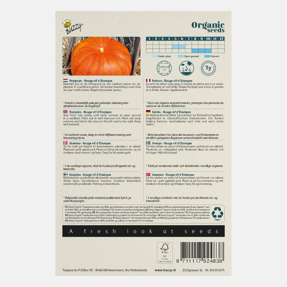 Potiron 'Rouge d'Etampes' BIO