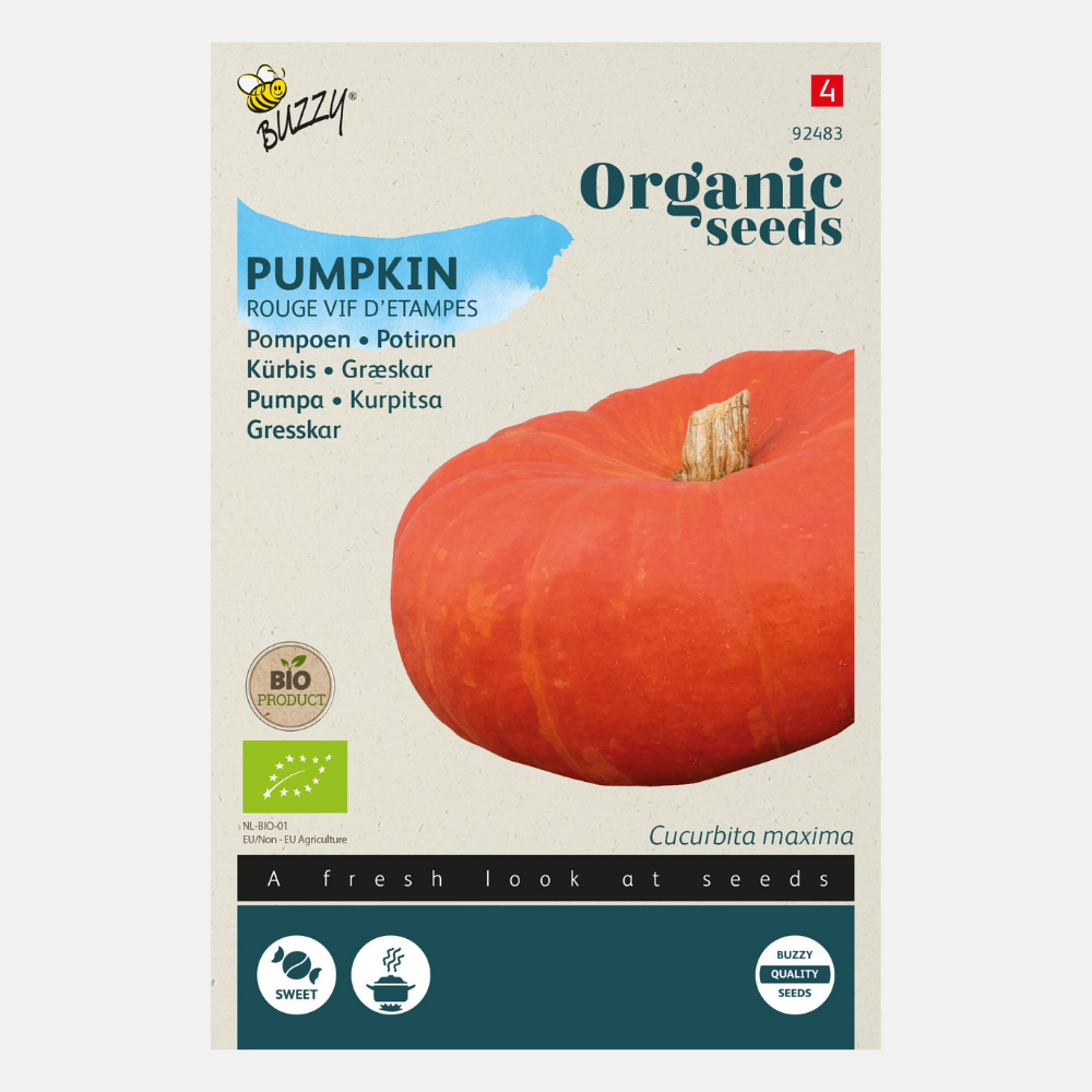 Potiron 'Rouge d'Etampes' BIO