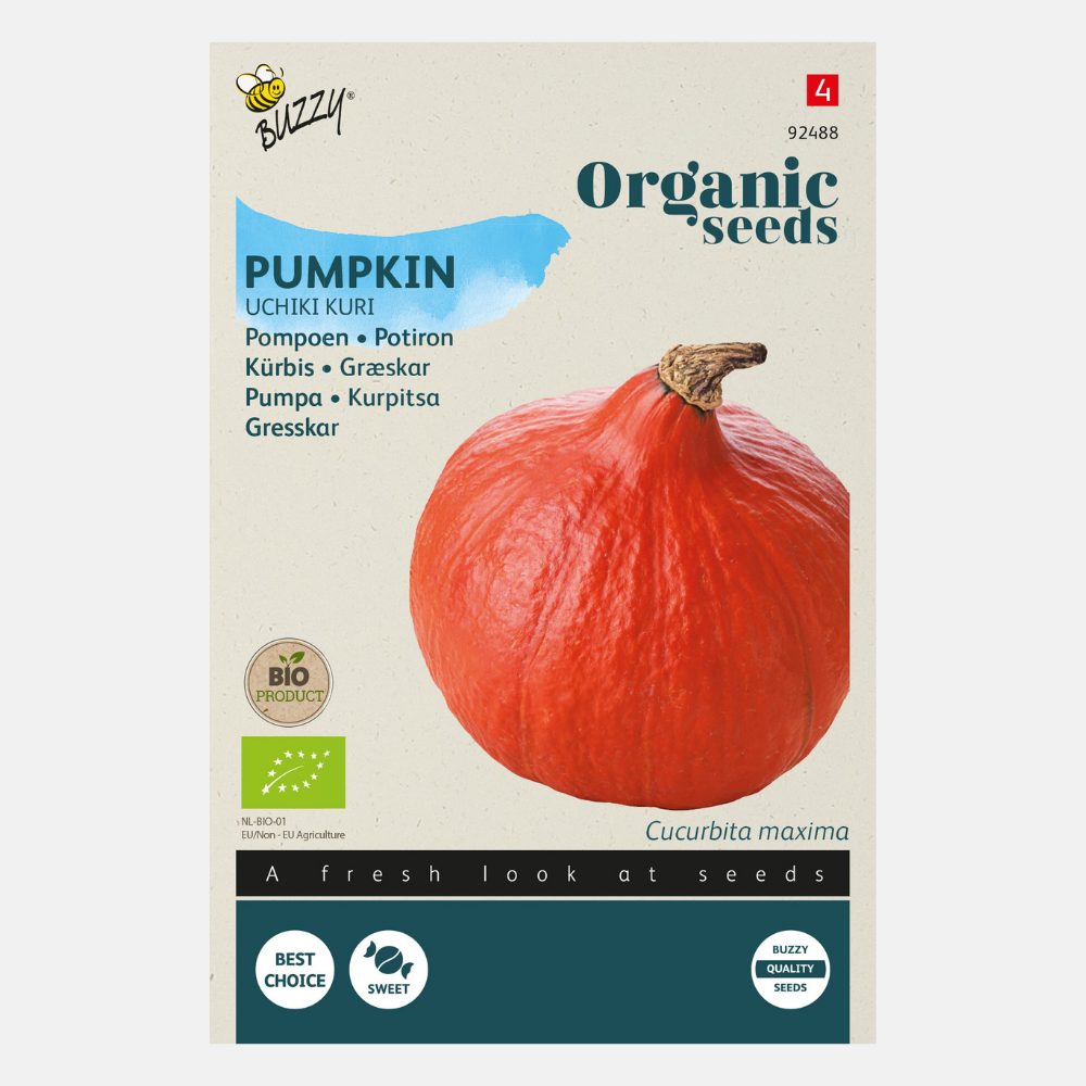Pumpkin 'Uchiki Kuri' BIO