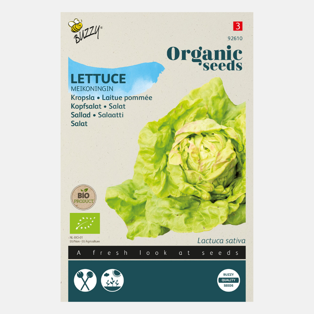 Lettuce 'Meikoningin' BIO