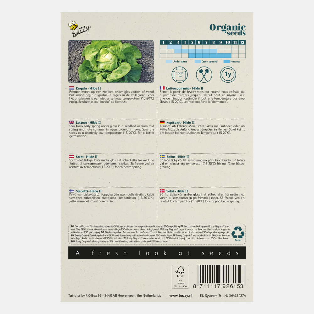 Lettuce 'Hilde' BIO