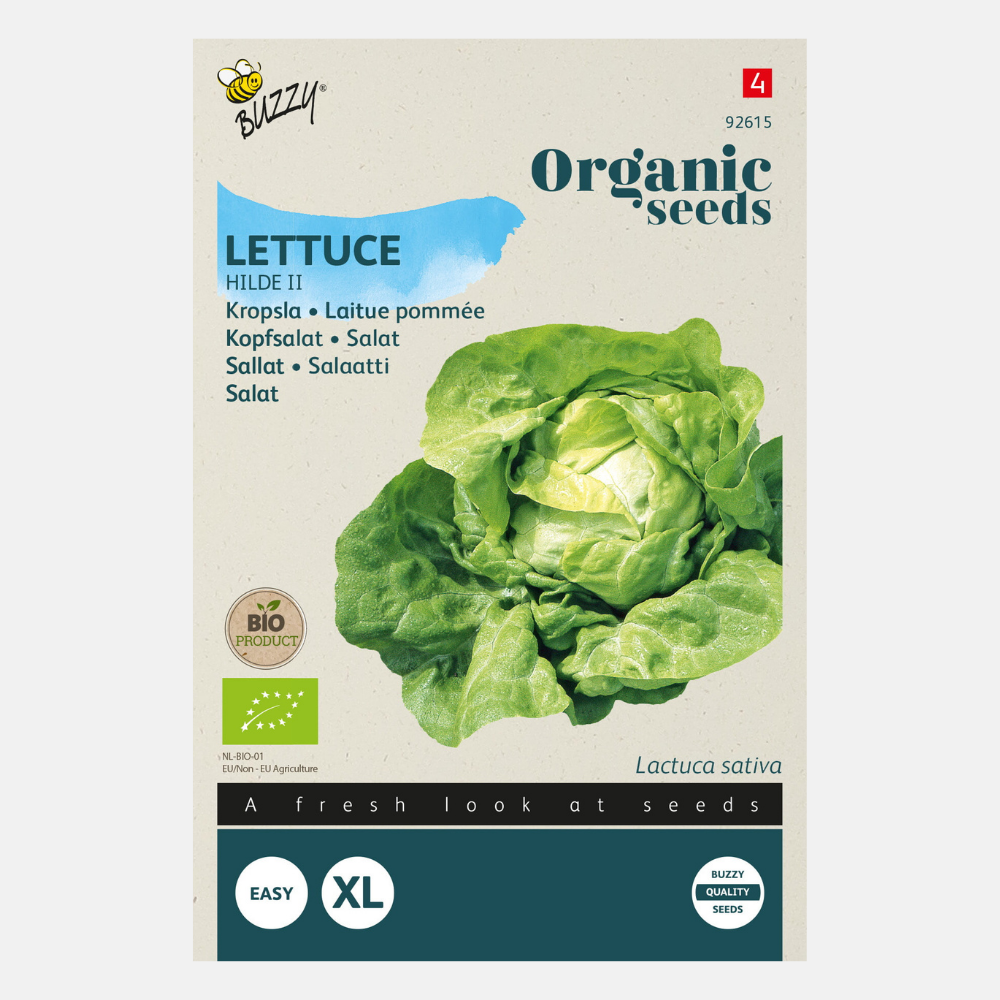 Lettuce 'Hilde' BIO
