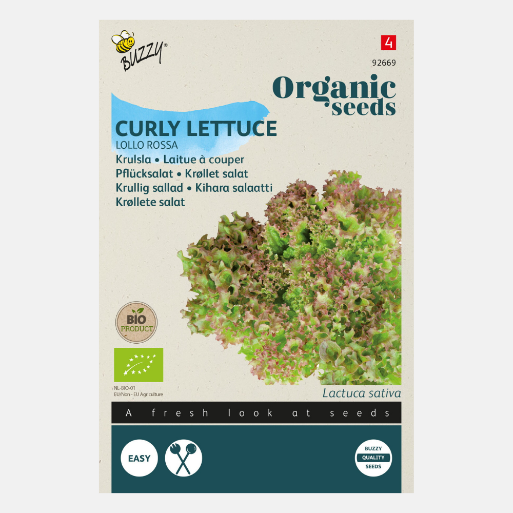 Lettuce 'Lollo rossa' BIO