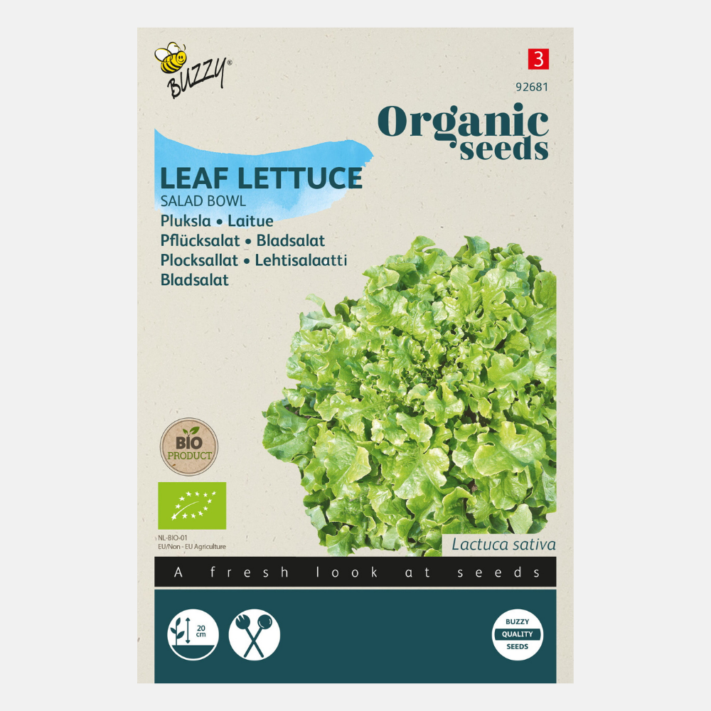 Pick lettuce 'Green Salad Bowl' ORGANIC