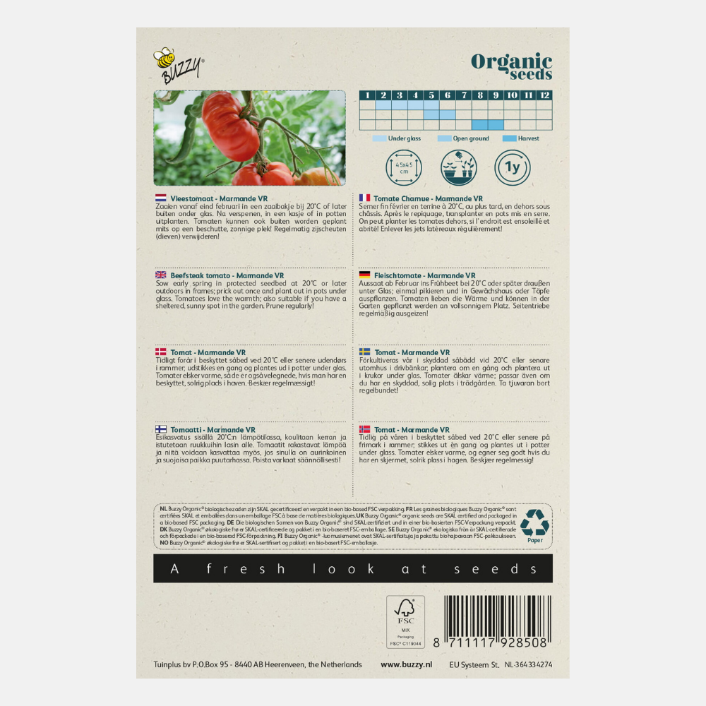 Tomate 'Marmande' BIO