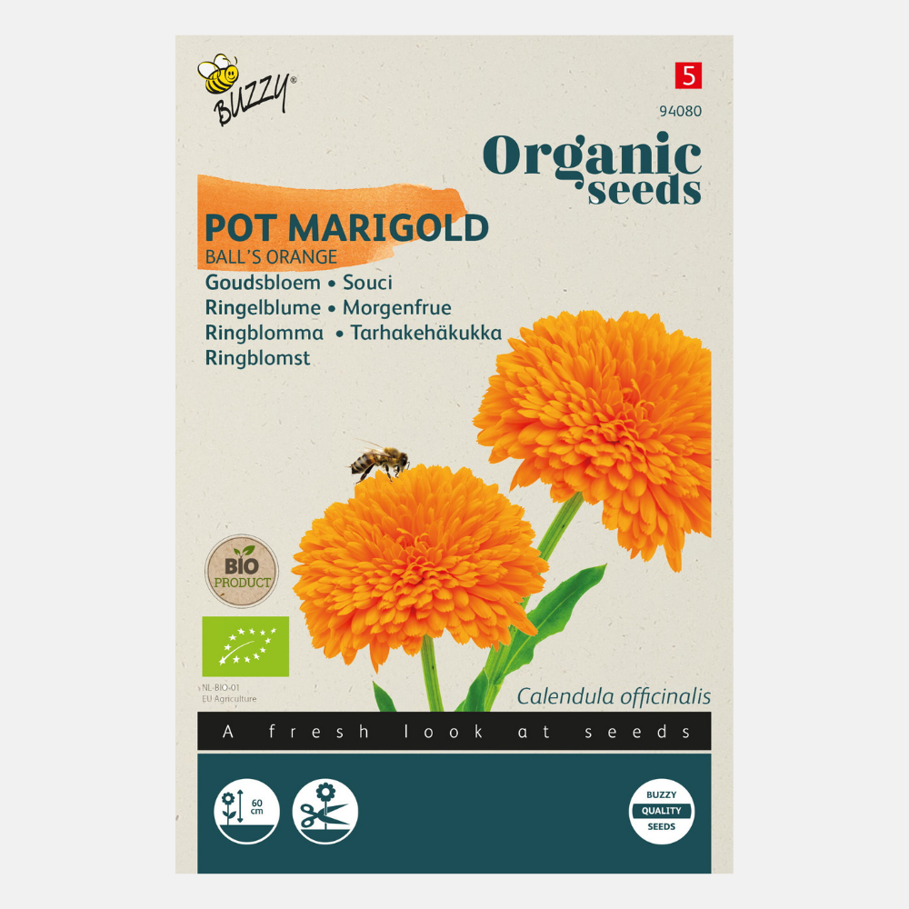 Calendula – Souci 'Ball's Orange' BIO