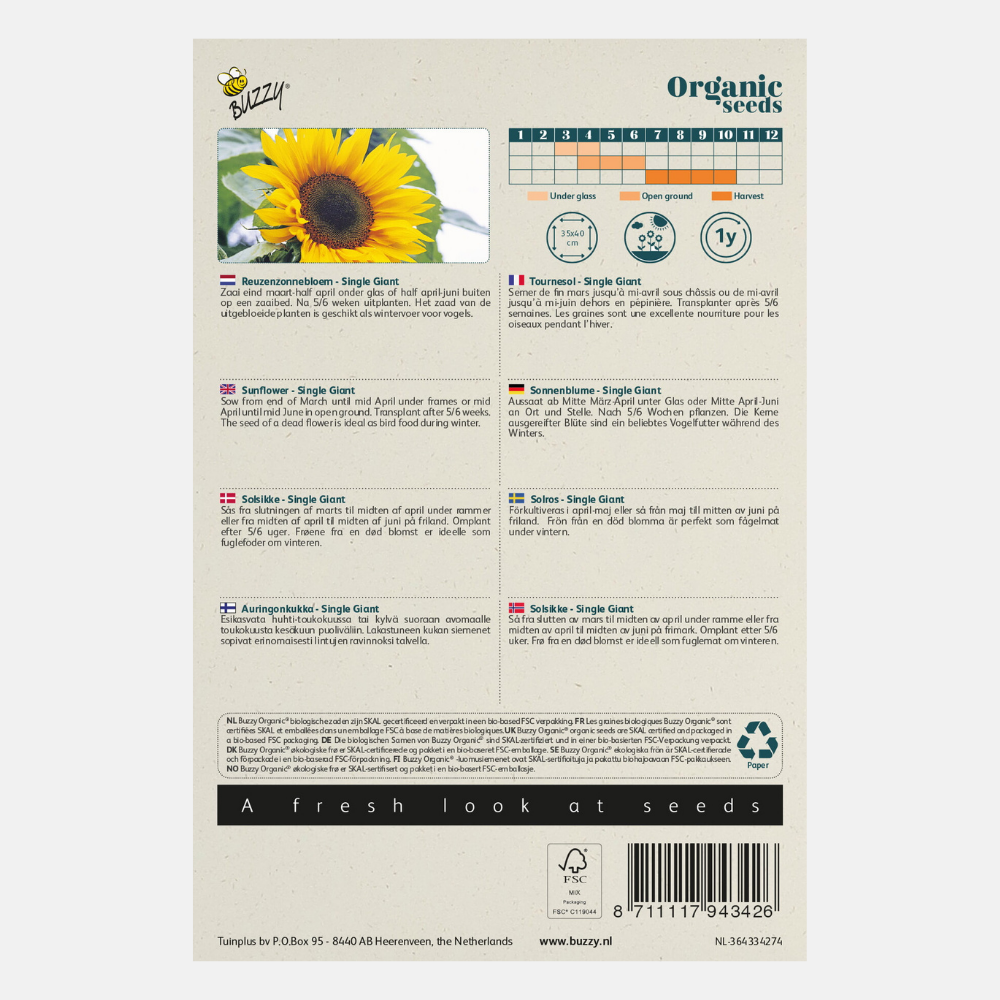 Sunflower 'Giganteus' BIO